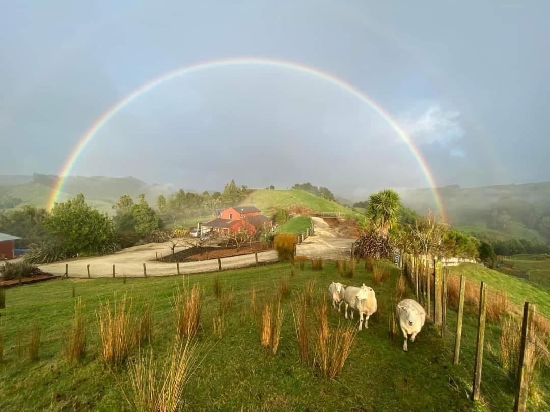 Bed and Breakfast Nadarra Hideaway Otorohanga Zewnętrze zdjęcie